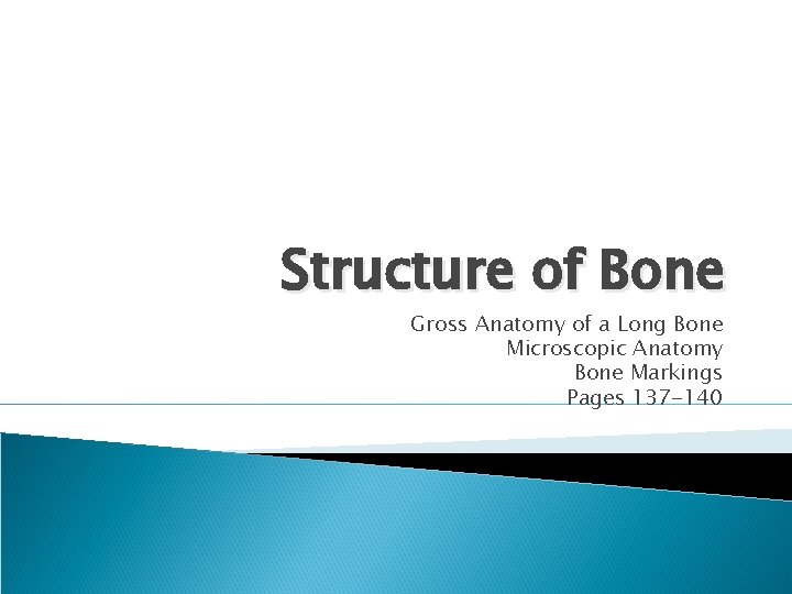 Structure of Bone Gross Anatomy of a Long Bone Microscopic Anatomy Bone Markings Pages