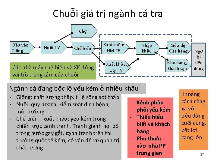 Chuỗi giá trị ngành cá tra Chợ Đầu vào, Giống Nuôi TM Chế biến