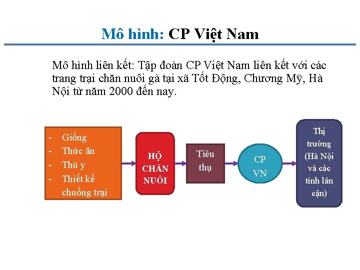 Mô hình: CP Việt Nam Mô hình liên kết: Tập đoàn CP Việt Nam