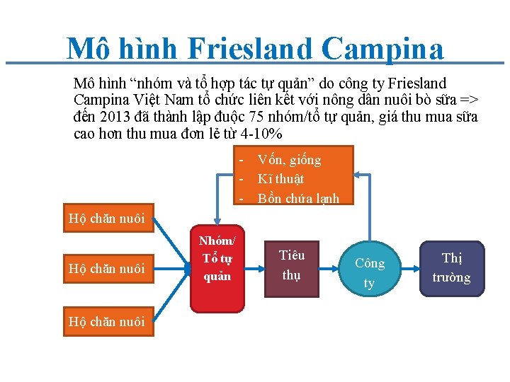 Mô hình Friesland Campina Mô hình “nhóm và tổ hợp tác tự quản” do