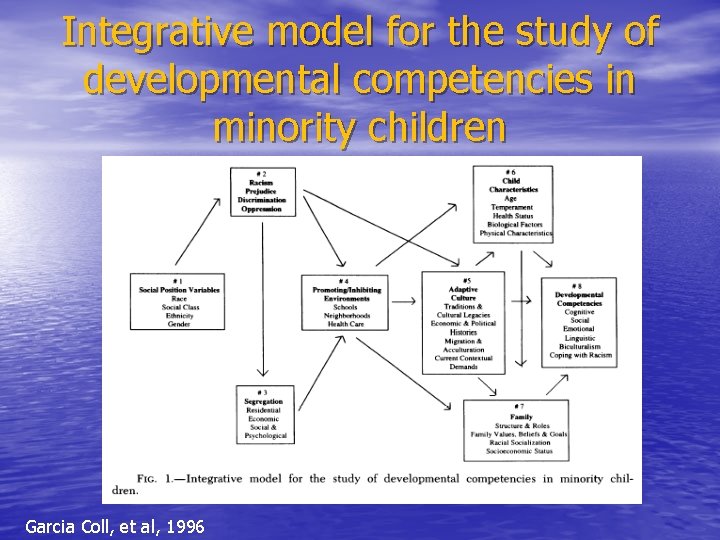 Integrative model for the study of developmental competencies in minority children Garcia Coll, et