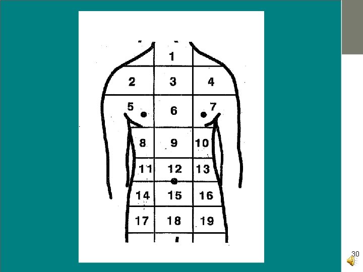 Human Torso Diagram Gordon Willis NCI 3/2012 30 