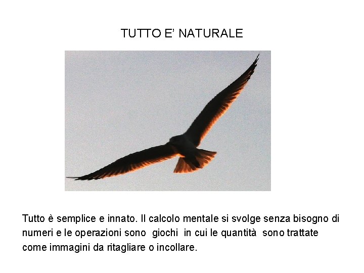 TUTTO E’ NATURALE Tutto è semplice e innato. Il calcolo mentale si svolge senza