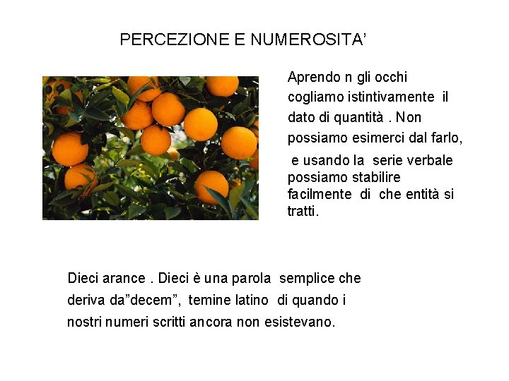 PERCEZIONE E NUMEROSITA’ Aprendo n gli occhi cogliamo istintivamente il dato di quantità. Non