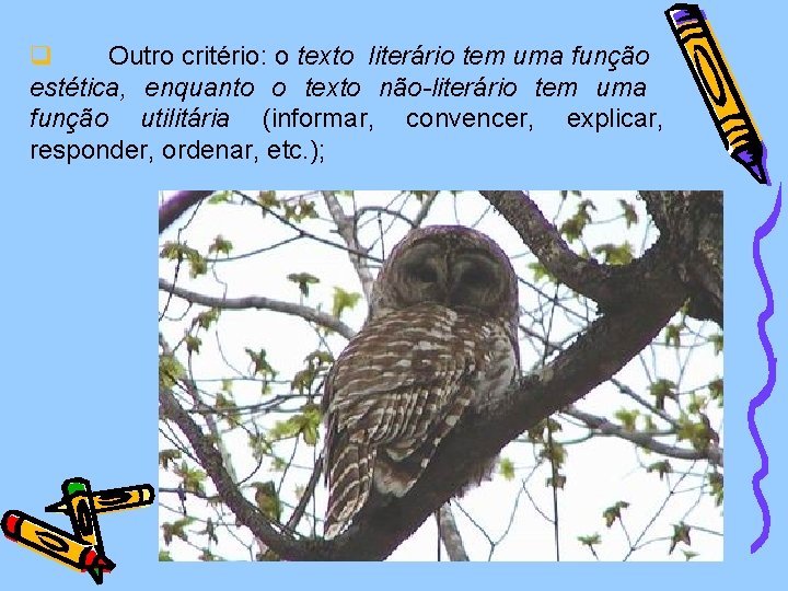 q Outro critério: o texto literário tem uma função estética, enquanto o texto não-literário