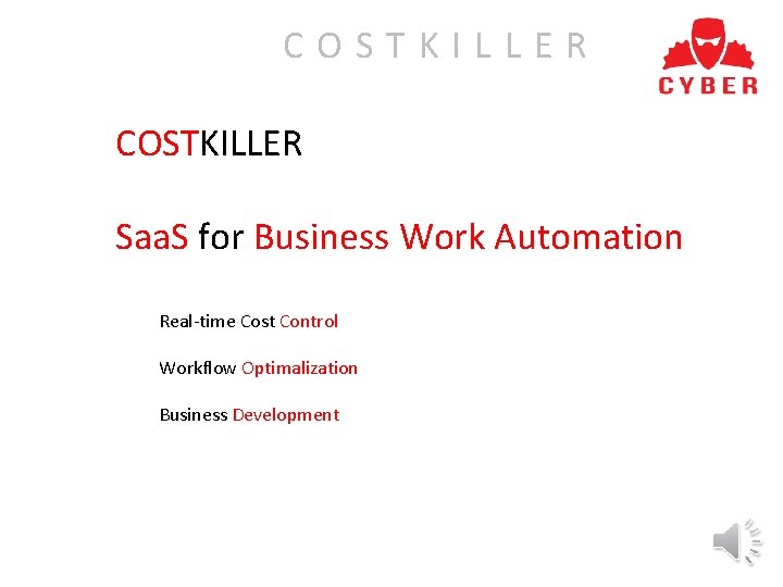 COSTKILLER Saa. S for Business Work Automation Real-time Cost Control Workflow Optimalization Business Development