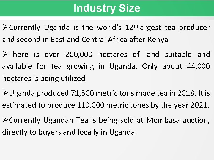 Industry Size Currently Uganda is the world's 12 thlargest tea producer and second in