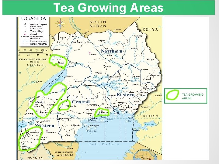 Tea Growing Areas 