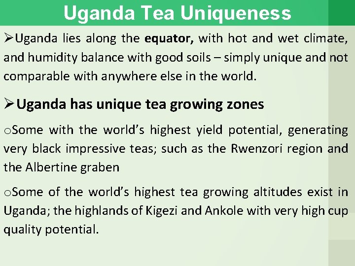 Uganda Tea Uniqueness Uganda lies along the equator, with hot and wet climate, and
