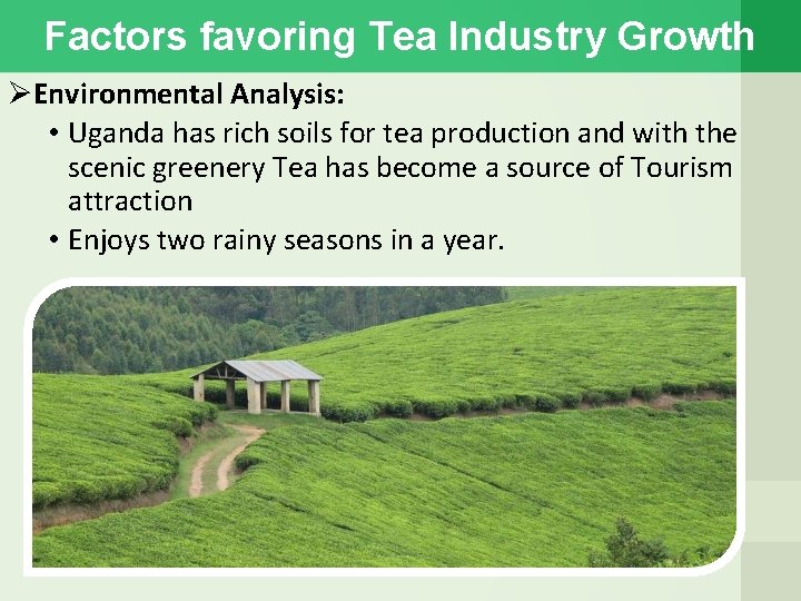 Factors favoring Tea Industry Growth Environmental Analysis: • Uganda has rich soils for tea