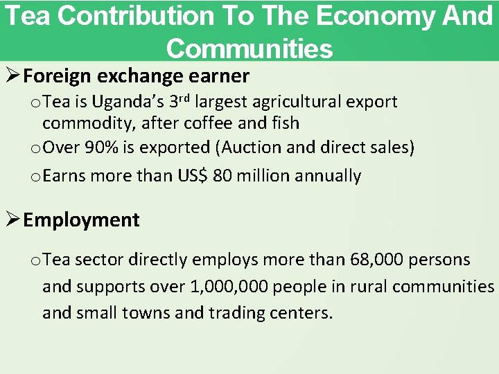 Tea Contribution To The Economy And Communities Foreign exchange earner o Tea is Uganda’s