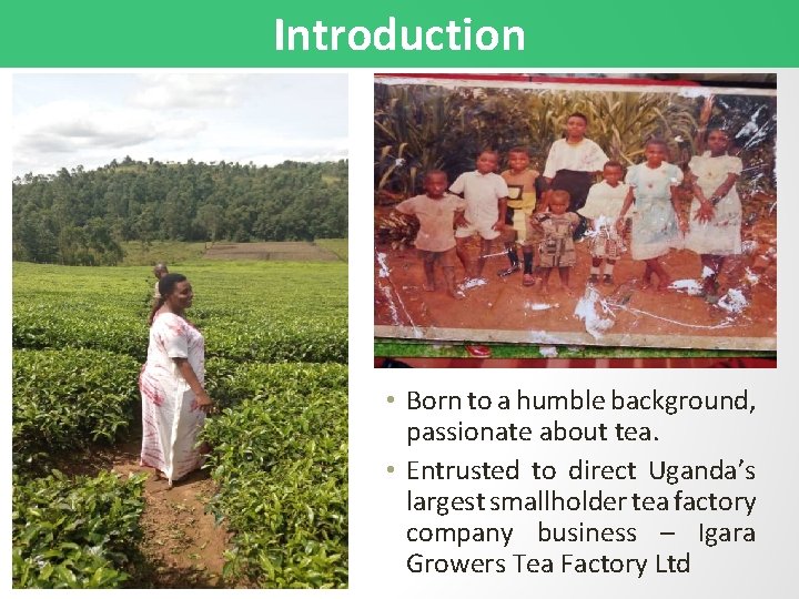 Introduction • Born to a humble background, passionate about tea. • Entrusted to direct