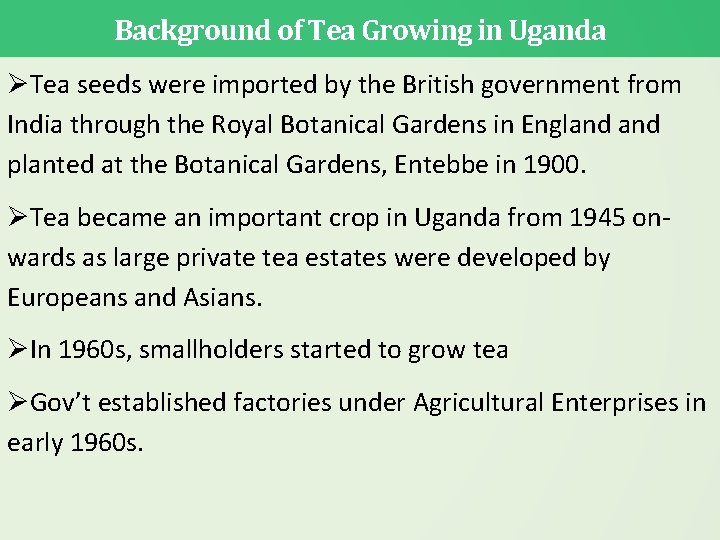 Background of Tea Growing in Uganda Tea seeds were imported by the British government