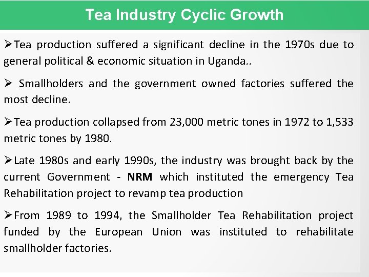 Tea Industry Cyclic Growth Tea production suffered a significant decline in the 1970 s