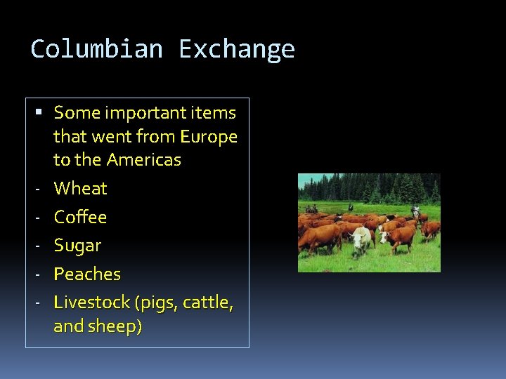 Columbian Exchange Some important items that went from Europe to the Americas - Wheat