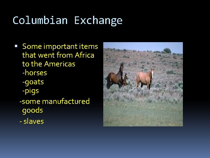 Columbian Exchange Some important items that went from Africa to the Americas -horses -goats