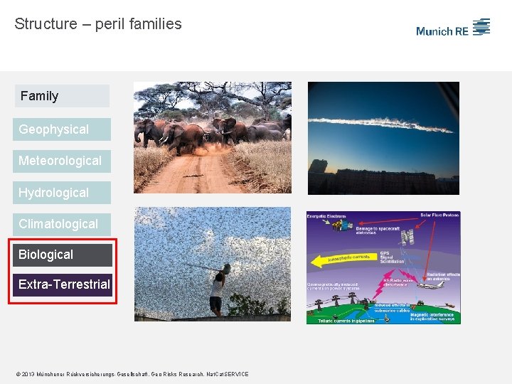 Structure – peril families Family Geophysical Meteorological Hydrological Climatological Biological Extra-Terrestrial © 2013 Münchener