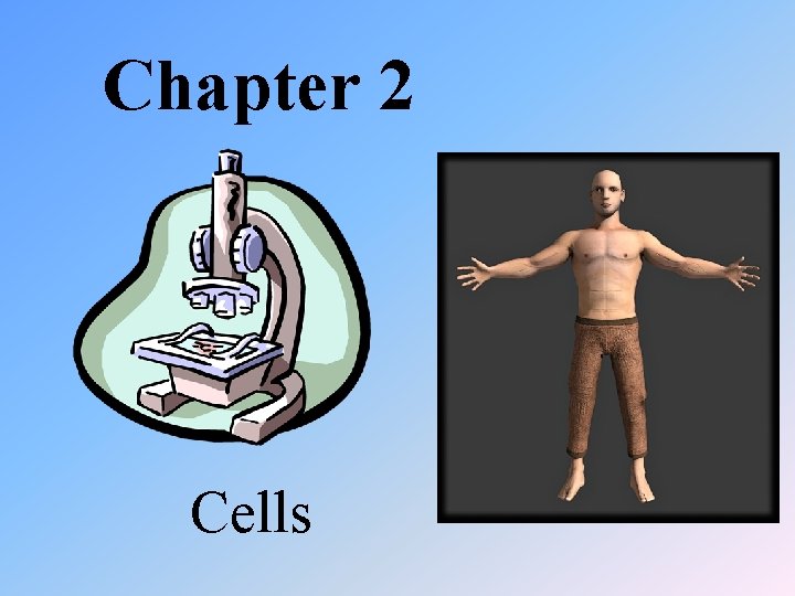 Chapter 2 Cells 