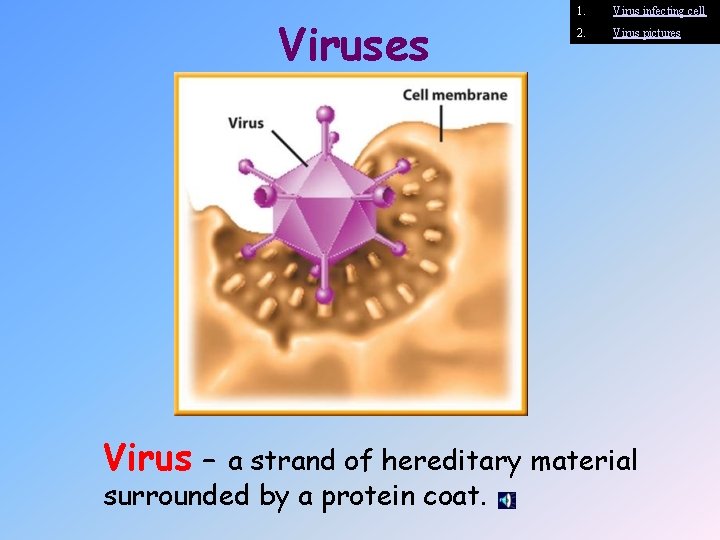 Viruses Virus 1. Virus infecting cell 2. Virus pictures – a strand of hereditary