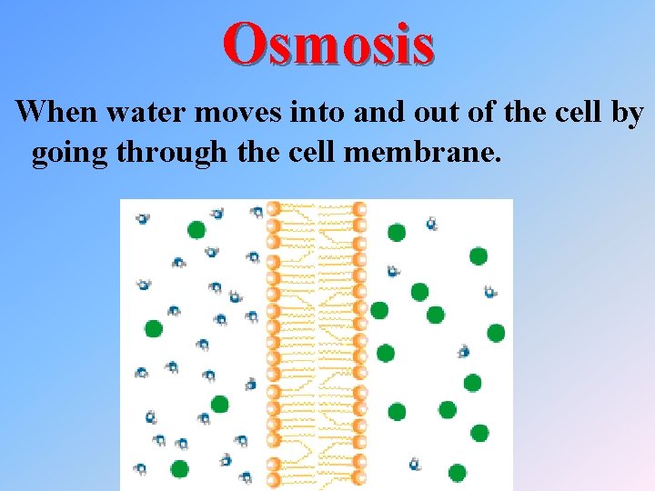 Osmosis When water moves into and out of the cell by going through the