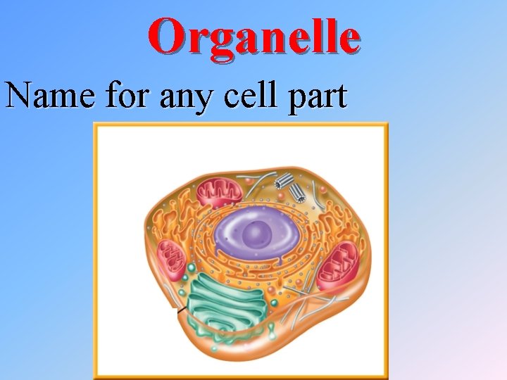 Organelle Name for any cell part 