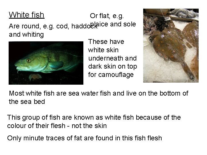White fish Or flat, e. g. plaice and sole Are round, e. g. cod,