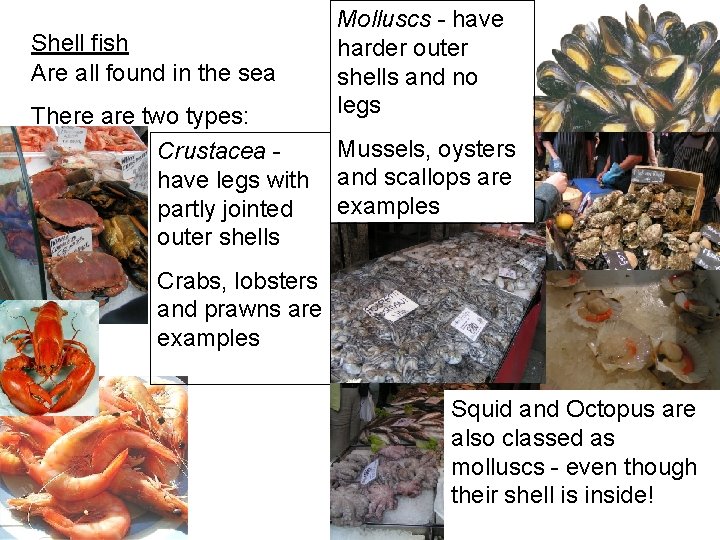 Shell fish Are all found in the sea There are two types: Crustacea have