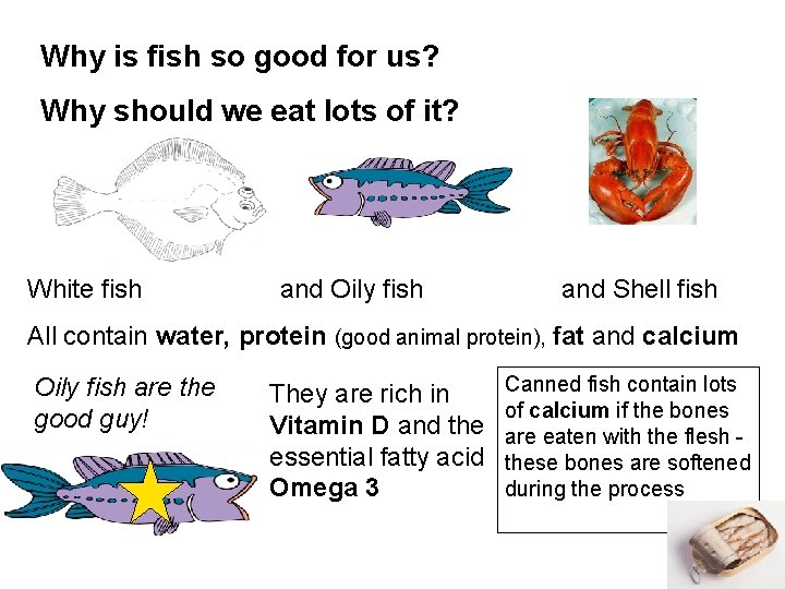 Why is fish so good for us? Why should we eat lots of it?