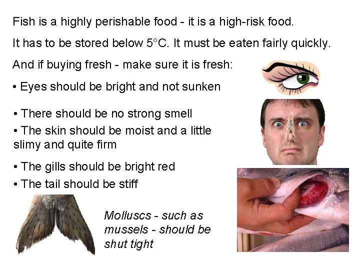 Fish is a highly perishable food - it is a high-risk food. It has