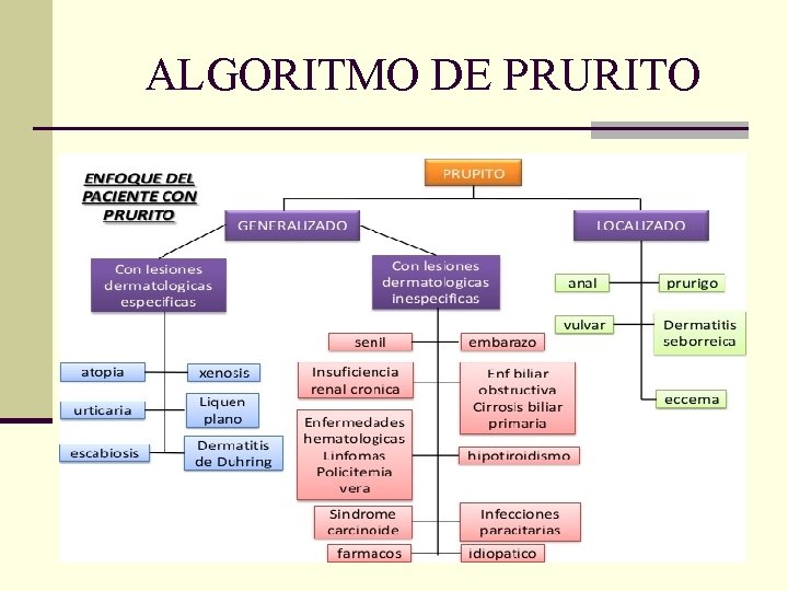 ALGORITMO DE PRURITO ALGORITMO DE PRURITO