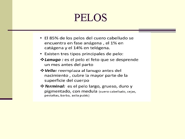 PELOS PELOS