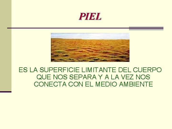 PIEL ES LA SUPERFICIE LIMITANTE DEL CUERPO QUE NOS SEPARA Y A LA VEZ PIEL ES LA SUPERFICIE LIMITANTE DEL CUERPO QUE NOS SEPARA Y A LA VEZ
