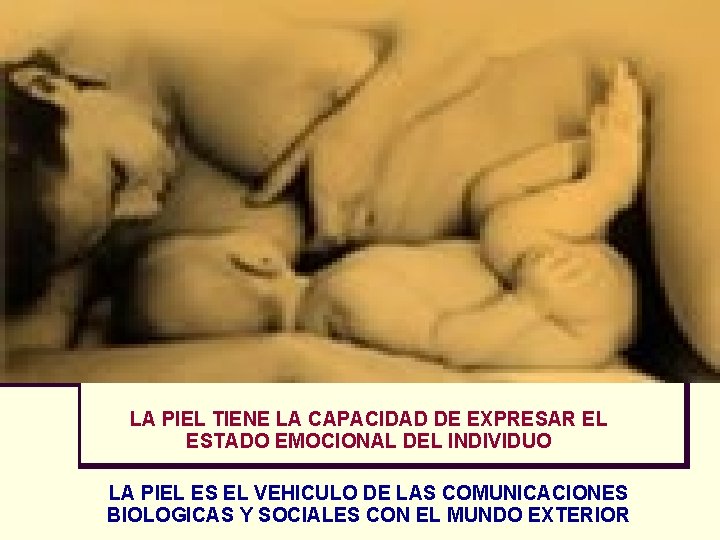 LA PIEL TIENE LA CAPACIDAD DE EXPRESAR EL ESTADO EMOCIONAL DEL INDIVIDUO LA PIEL LA PIEL TIENE LA CAPACIDAD DE EXPRESAR EL ESTADO EMOCIONAL DEL INDIVIDUO LA PIEL
