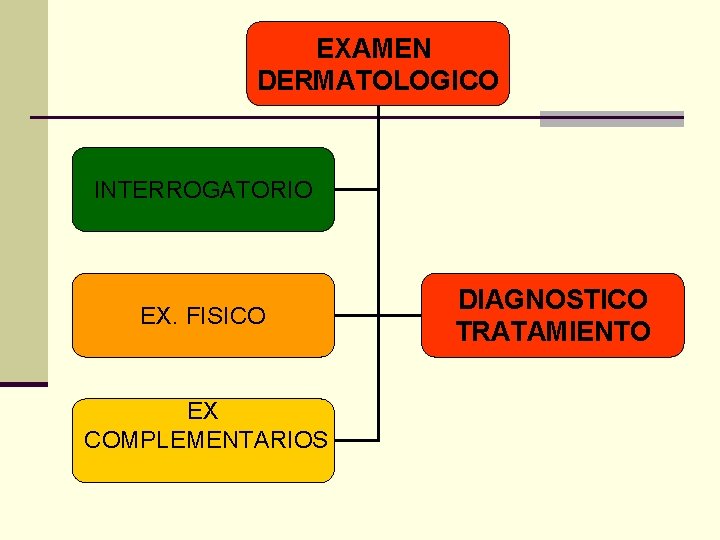 EXAMEN DERMATOLOGICO INTERROGATORIO EX. FISICO EX COMPLEMENTARIOS DIAGNOSTICO TRATAMIENTO EXAMEN DERMATOLOGICO INTERROGATORIO EX. FISICO EX COMPLEMENTARIOS DIAGNOSTICO TRATAMIENTO