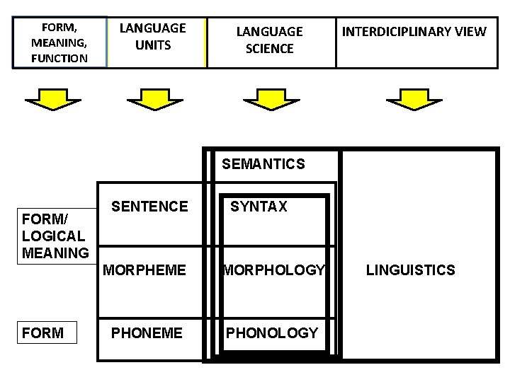 FORM, MEANING, FUNCTION LANGUAGE UNITS LANGUAGE SCIENCE INTERDICIPLINARY VIEW SEMANTICS FORM/ LOGICAL MEANING FORM