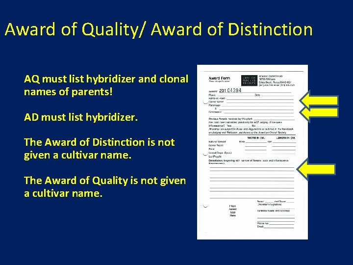 Award of Quality/ Award of Distinction AQ must list hybridizer and clonal names of