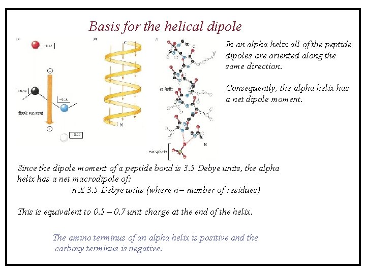 Basis for the helical dipole In an alpha helix all of the peptide dipoles Basis for the helical dipole In an alpha helix all of the peptide dipoles