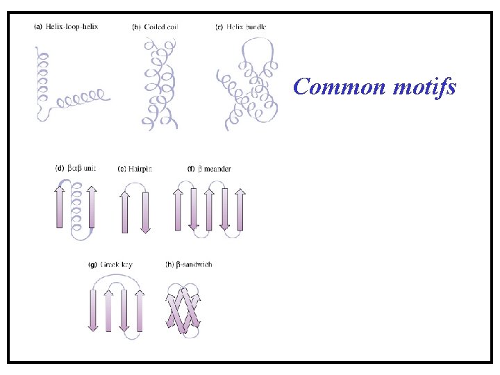 Common motifs Common motifs