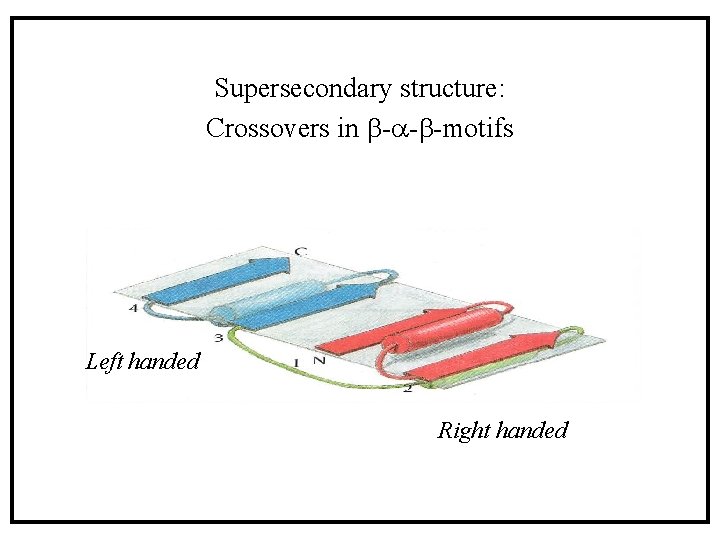 Supersecondary structure: Crossovers in b-a-b-motifs Left handed Right handed Supersecondary structure: Crossovers in b-a-b-motifs Left handed Right handed
