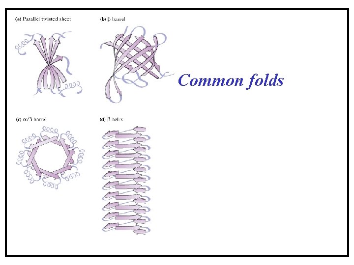 Common folds Common folds