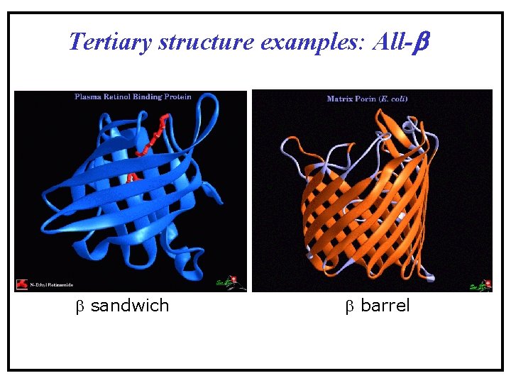 Tertiary structure examples: All-b b sandwich b barrel Tertiary structure examples: All-b b sandwich b barrel