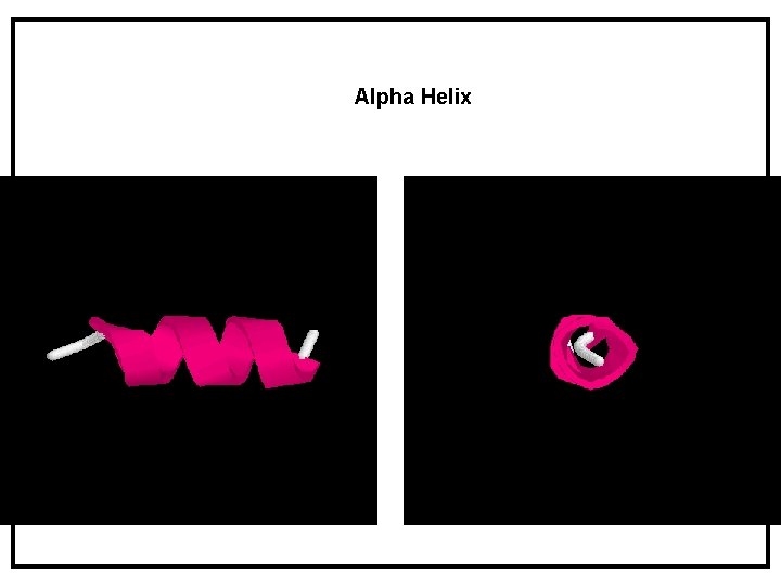 Alpha Helix Alpha Helix