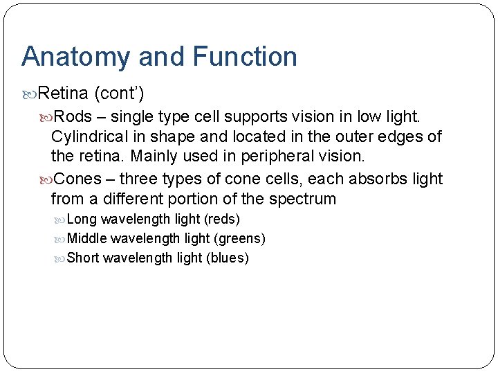 Anatomy and Function Retina (cont’) Rods – single type cell supports vision in low Anatomy and Function Retina (cont’) Rods – single type cell supports vision in low
