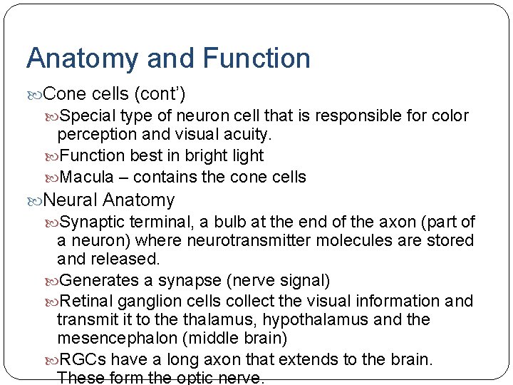 Anatomy and Function Cone cells (cont’) Special type of neuron cell that is responsible Anatomy and Function Cone cells (cont’) Special type of neuron cell that is responsible