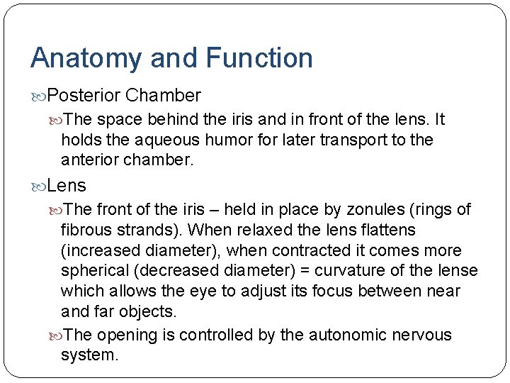 Anatomy and Function Posterior Chamber The space behind the iris and in front of Anatomy and Function Posterior Chamber The space behind the iris and in front of