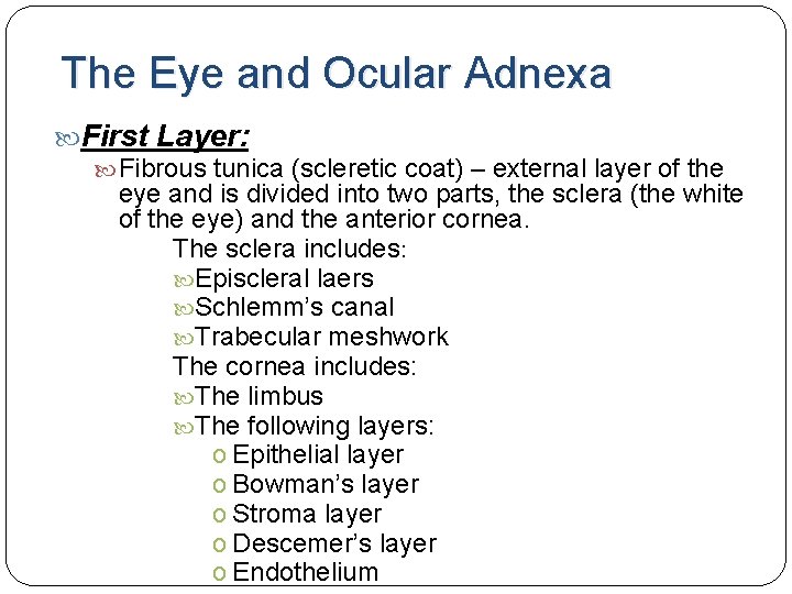 The Eye and Ocular Adnexa First Layer: Fibrous tunica (scleretic coat) – external layer The Eye and Ocular Adnexa First Layer: Fibrous tunica (scleretic coat) – external layer