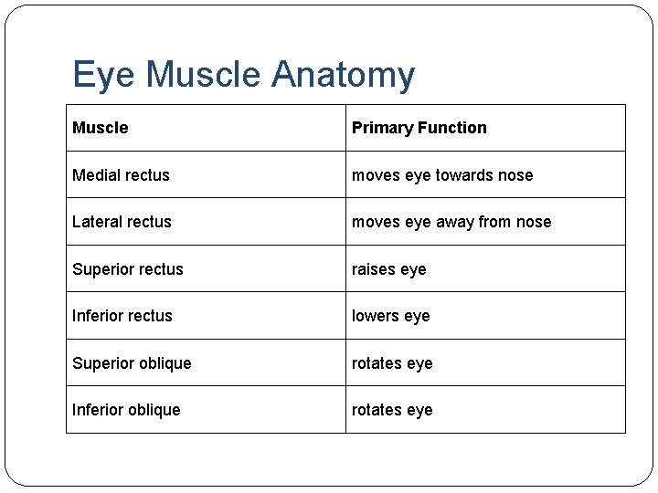 Eye Muscle Anatomy Muscle Primary Function Medial rectus moves eye towards nose Lateral rectus Eye Muscle Anatomy Muscle Primary Function Medial rectus moves eye towards nose Lateral rectus