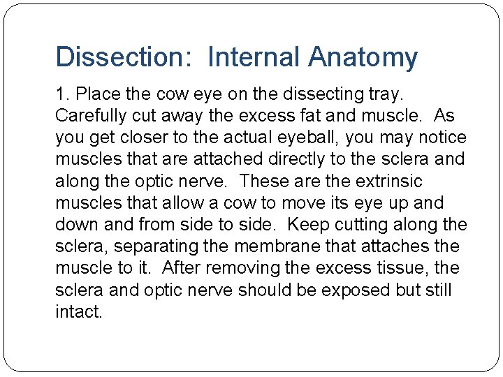 Dissection: Internal Anatomy 1. Place the cow eye on the dissecting tray. Carefully cut Dissection: Internal Anatomy 1. Place the cow eye on the dissecting tray. Carefully cut