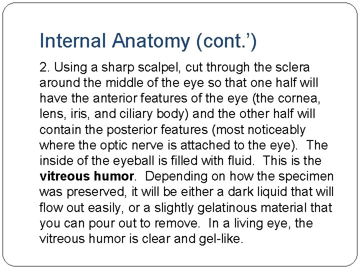 Internal Anatomy (cont. ’) 2. Using a sharp scalpel, cut through the sclera around Internal Anatomy (cont. ’) 2. Using a sharp scalpel, cut through the sclera around