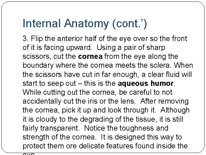 Internal Anatomy (cont. ’) 3. Flip the anterior half of the eye over so Internal Anatomy (cont. ’) 3. Flip the anterior half of the eye over so